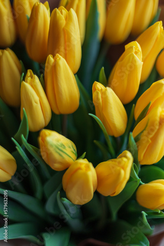 Beautiful yellow tulips. Spring bouquet on women s day