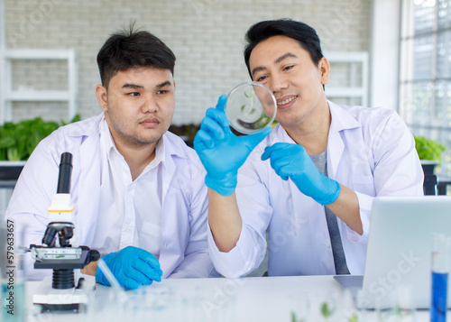 Closeup shot of fresh raw organic green vegetable sprout seedling on forceps in Asian professional male scientist researcher hand in white lab coat and rubber gloves sitting showing to colleague