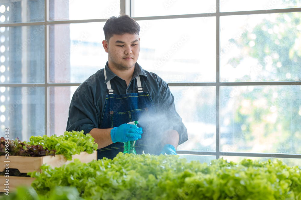 Asian professional male farmer gardener worker in apron holding using
