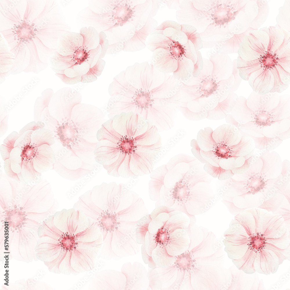 Watercolor pattern with pink flowers isolated.