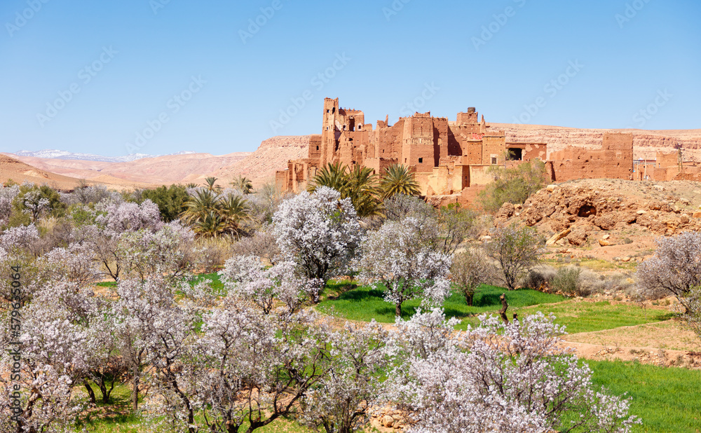 Tamedakhte village with almond tree- Kasbah near ben haddou- Morocco