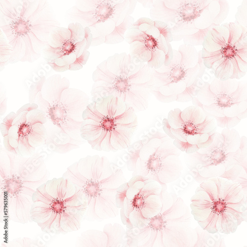 Watercolor pattern with pink flowers isolated.