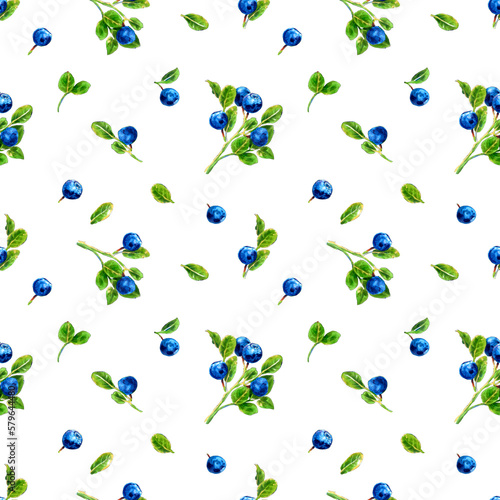 Seamless pattern of forest plants bluebery drawn with markers on a white background. For fabric, sketchbook cover, wallpaper, print, textile, your design. photo