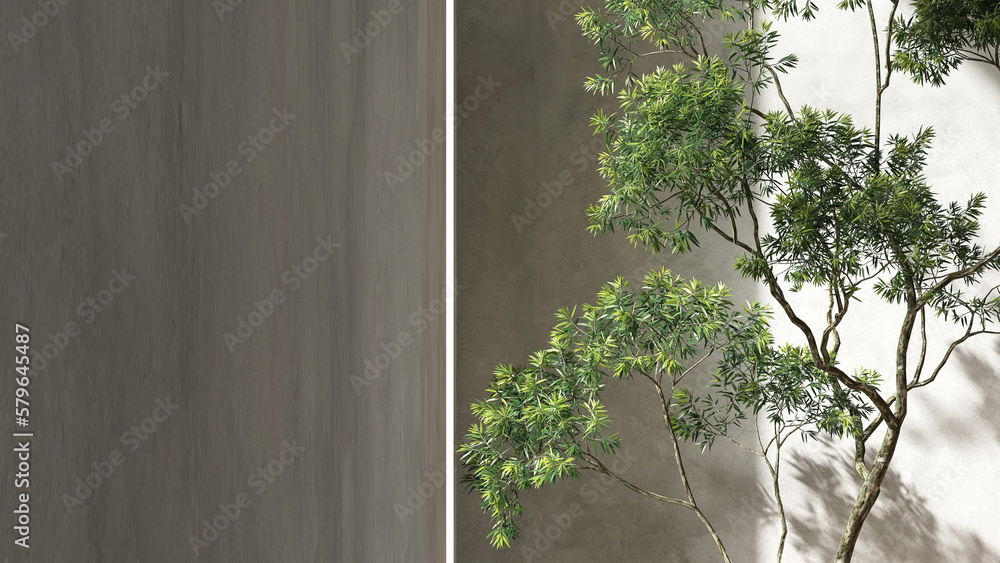 Beautiful Tropical Tree With Green Small Lanceolate Leaf Shape In beautiful-tropical-tree-with-green-small-lanceolate-leaf-shape-in