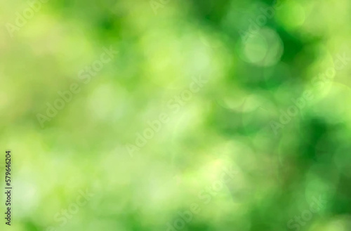 Green bokeh background light blur, holiday wallpaper