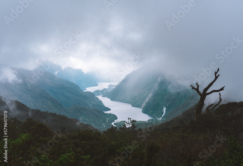 New Zealand Doubtful Sound Foggy Fjord