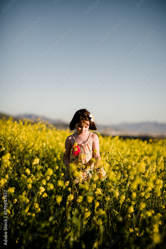 Seven Year Old Girl Picking Wildflowers in San Diego Seven Year Old Girl Picking Wildflowers in San Diego