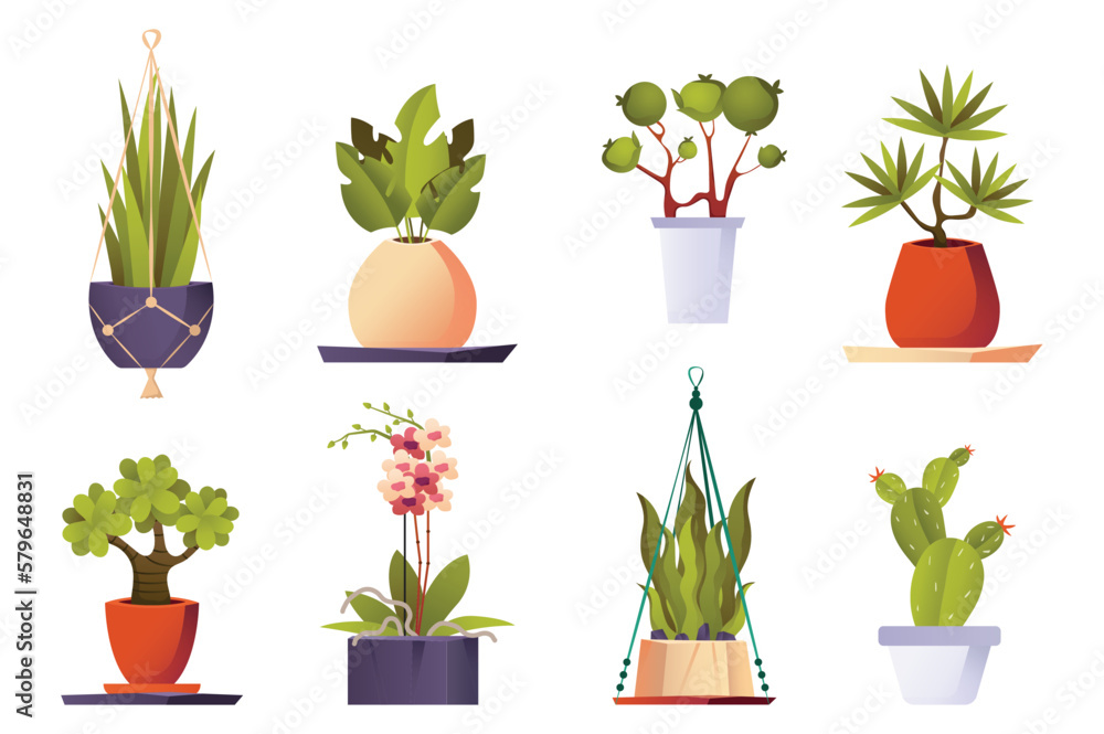 Green house plants set icons concept without people scene in the flat cartoon design. Image of various green plants that can decorate the house. Vector illustration.