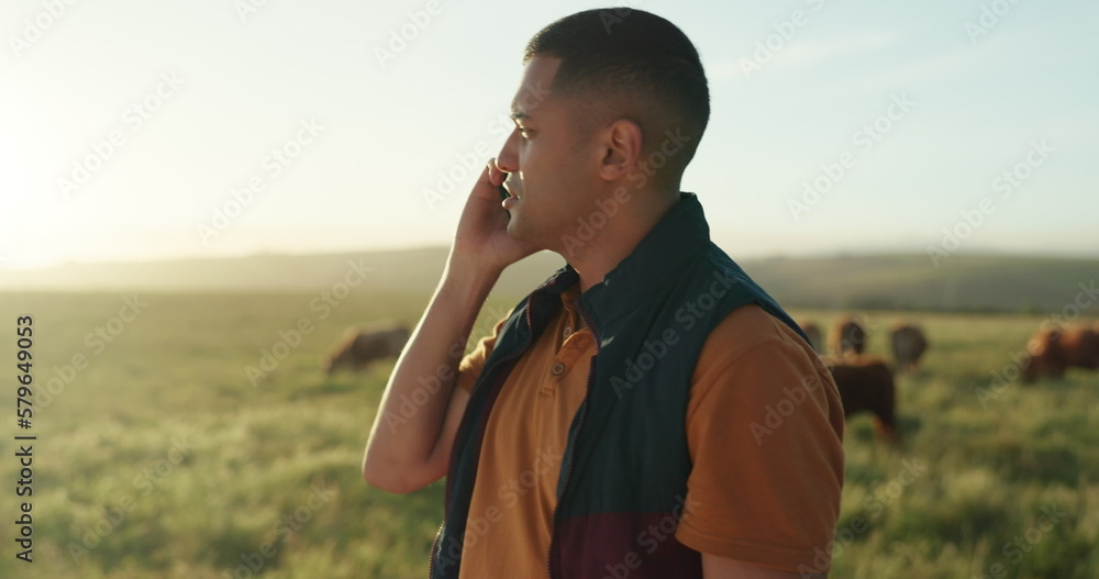 Fototapeta premium Agriculture, farm and farmer phone call talking or planning eco friendly cattle farming strategy plan. Young man discuss ecology, sustainable development and countryside lifestyle on smartphone