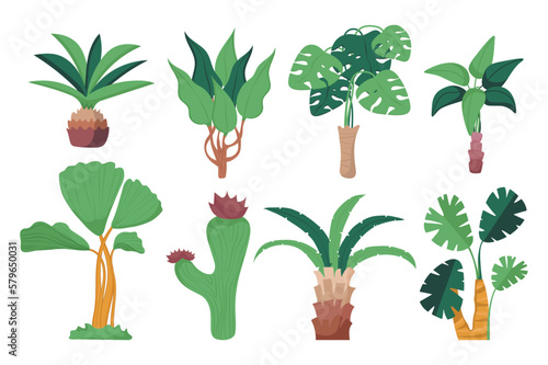 Exotic Plants set concept without people scene in the flat cartoon design. Images of green plants that you won't find anywhere else. Vector illustration.