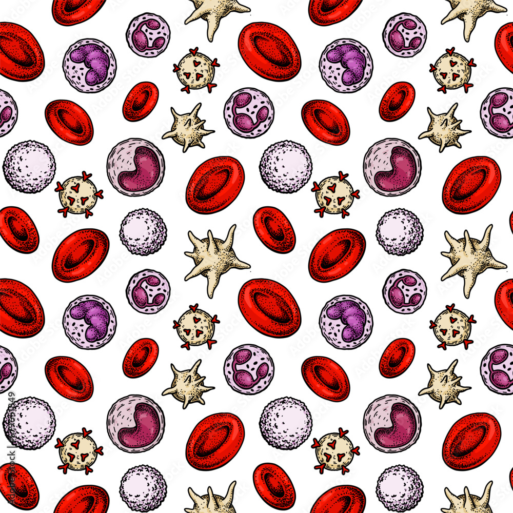 Blood cells seamless pattern. Hand drawn erythrocytes, leukocytes and platelet. Scientific biology illustration in sketch style Blood cells seamless pattern. Hand drawn erythrocytes, leukocytes and platelet. Scientific biology illustration in sketch style