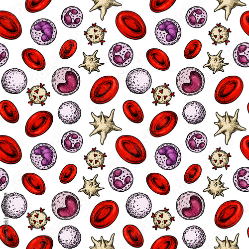 Blood cells seamless pattern. Hand drawn erythrocytes, leukocytes and platelet. Scientific biology illustration in sketch style