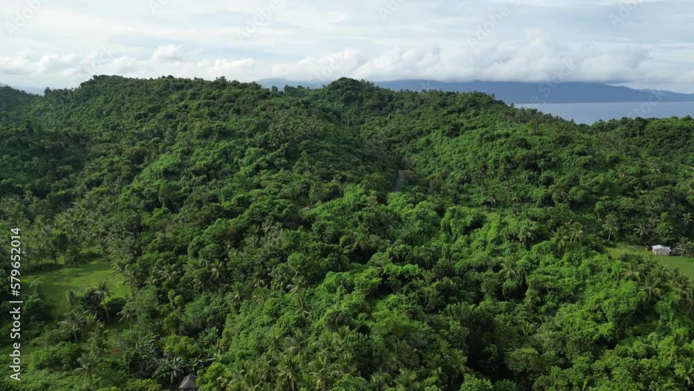 An aerial view of forested hills on an island, with clouds covering the island in the background. The footage captures the natural beauty of the island's landscape. An aerial view of forested hills on an island, with clouds covering the island in the background. The footage captures the natural beauty of the island's landscape.