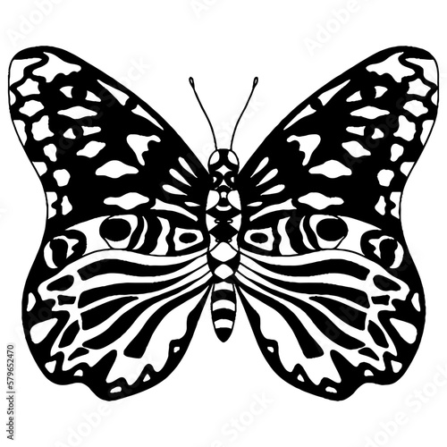 Black line butterfly for greeting card, coloring book © ellinanova