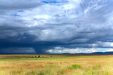 Stormy clouds with rain shower over the savannah in the wet season at Masai Mara, Kenya, Africa	