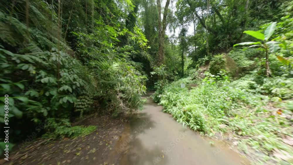 FPV Drone shot between the jungle of Bali where a woman is relaxing in the nature FPV Drone shot between the jungle of Bali where a woman is relaxing in the nature