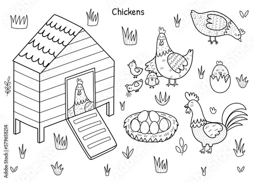 Black and white chicken set with a cute hen, rooster, chicks and eggs. Chicken coop with a bird inside. Farm characters collection for coloring book. Vector illustration