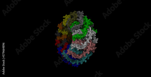 Human RAD52 DNA repair protein 3D molecule 4K  200 degrees view 