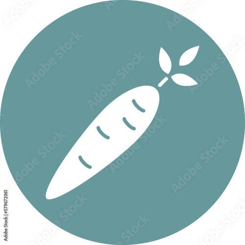 Vector Design Carrots Icon Style