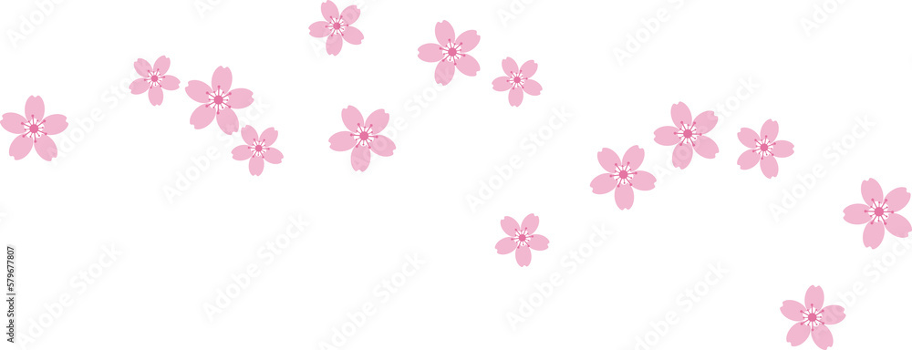 Beautiful pink Sakura Cherry Blossom illustration. Beautiful pink Sakura Cherry Blossom illustration.