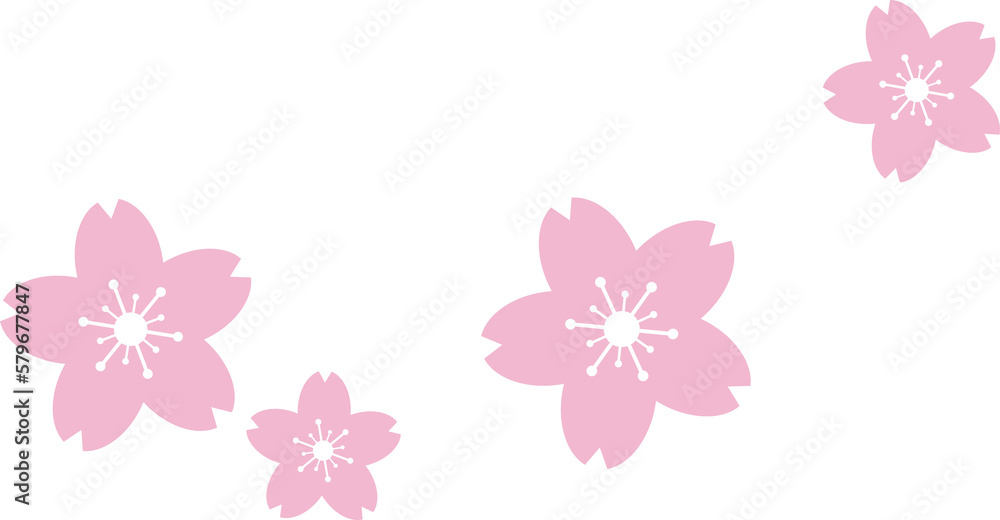 Beautiful pink Sakura Cherry Blossom illustration. Beautiful pink Sakura Cherry Blossom illustration.