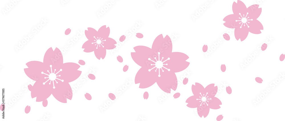 Beautiful pink Sakura Cherry Blossom illustration. Beautiful pink Sakura Cherry Blossom illustration.