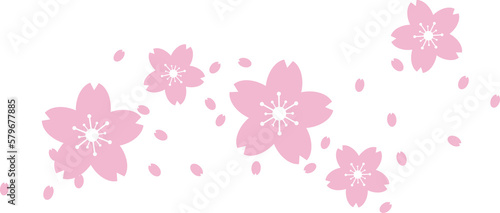 Beautiful pink Sakura Cherry Blossom illustration.
