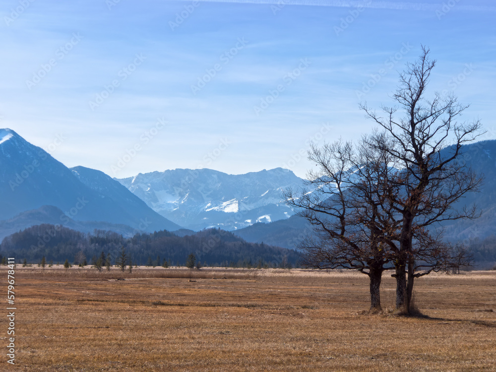 das Murnauer Moor vor den bayerischen Bergen