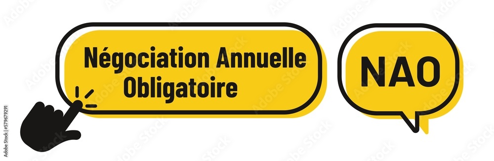 NAO - négociation annuelle obligatoire en france NAO - négociation annuelle obligatoire en france