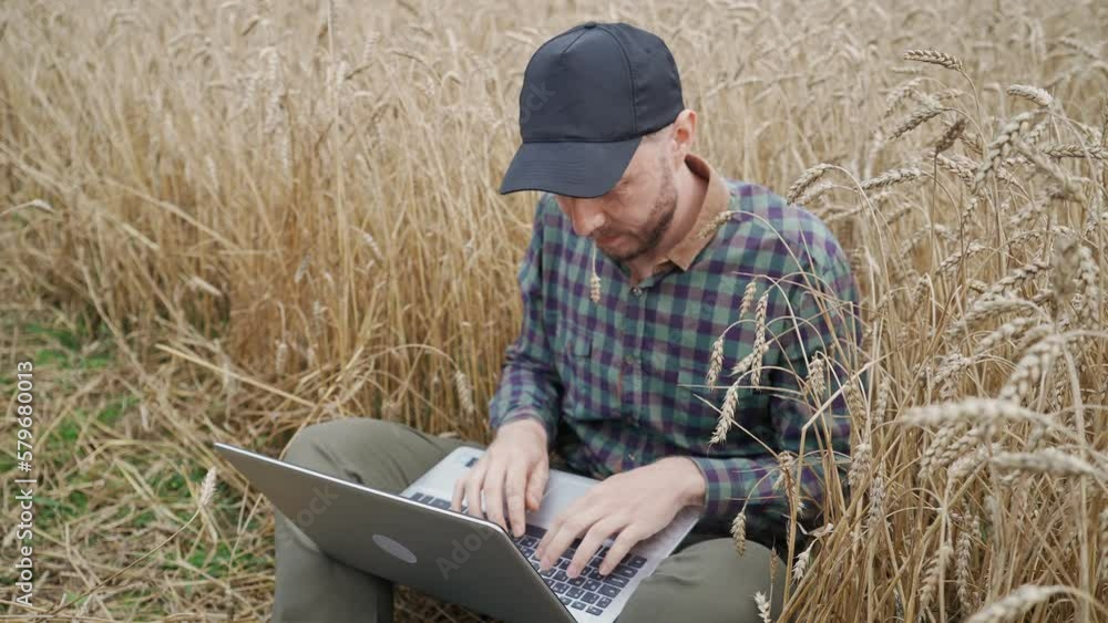Ecologist freelancer sits in a field and works at a laptop, remote work and self-isolation in nature, texting and surf the internet while sitting in the field of rye. Ecologist freelancer sits in a field and works at a laptop, remote work and self-isolation in nature, texting and surf the internet while sitting in the field of rye.