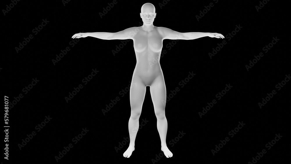 Beautiful athletic young woman posing isolated on black - 3d illustration, rendering. Front view Beautiful athletic young woman posing isolated on black - 3d illustration, rendering. Front view