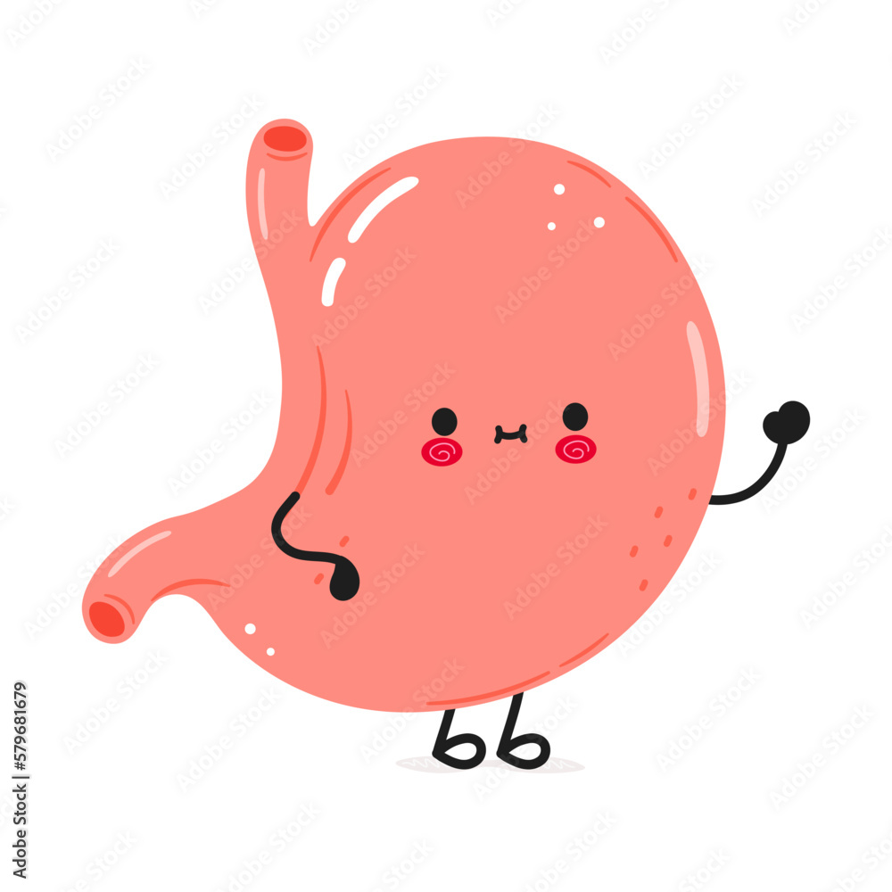 Cute funny stomach waving hand character. Vector hand drawn cartoon kawaii character illustration icon. Isolated on white background. Stomach character concept Cute funny stomach waving hand character. Vector hand drawn cartoon kawaii character illustration icon. Isolated on white background. Stomach character concept