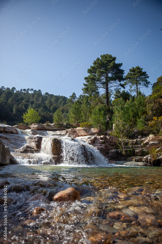 Obraz premium Piscia di Gallo