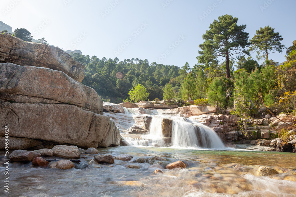 Obraz premium Piscia di Gallo