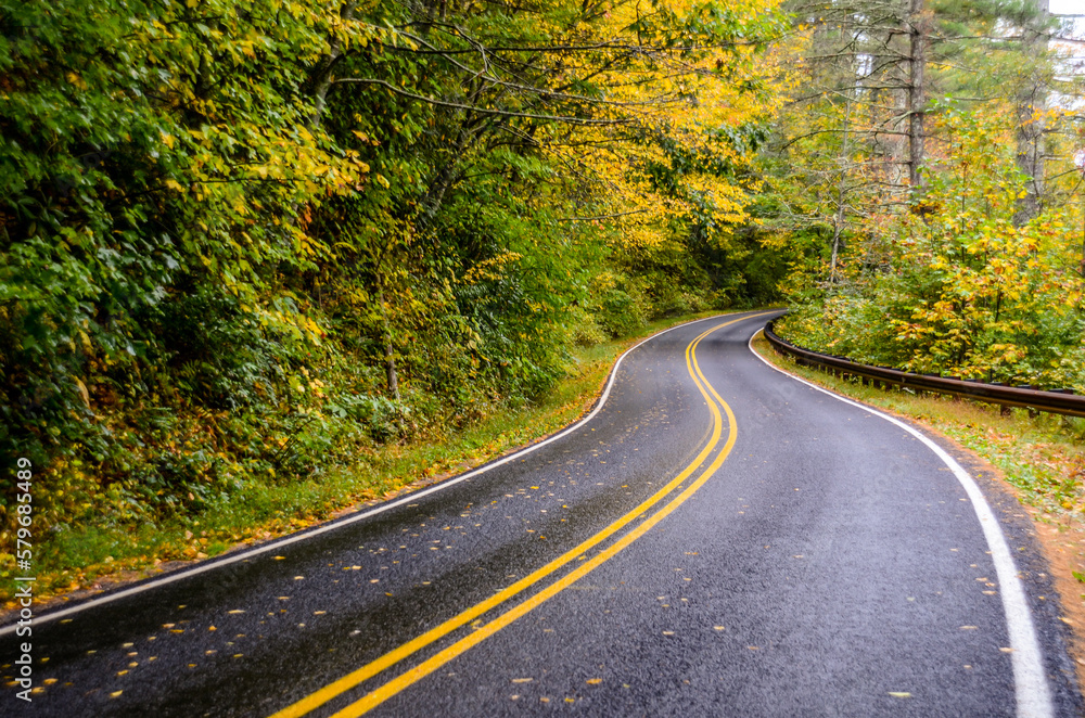 Fototapeta premium Winding Road in Fall