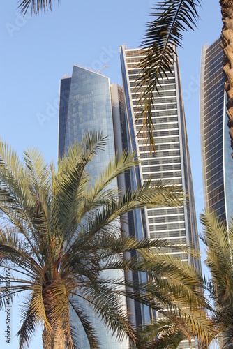 skyscrapers and palm trees, Abu Dhabi © Natalia