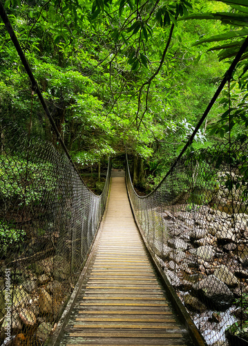 Front perspective of the suspension bridge over the rocky stream at Minnamurra Rainforest in Budderoo National Park, Jamberoo, NSW, Australia.