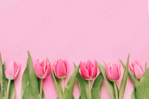Fototapeta Naklejka Na Ścianę i Meble -  Pink tulips on pink background. Mothers day, Valentines Day, Birthday celebration concept. Greeting card. Copy space for text, top view