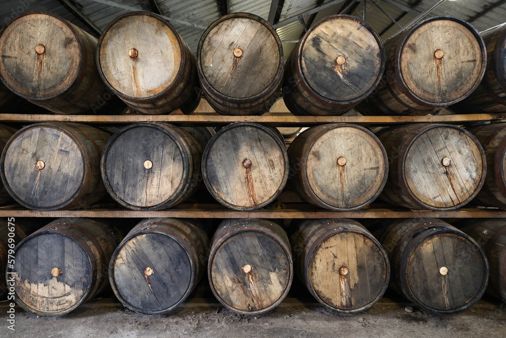 Oak barrels in a whiskey distillery