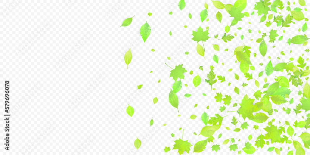 Leaves Falling Spring Flying Foliage Green Leaf Leaves Falling Spring Flying Foliage Green Leaf