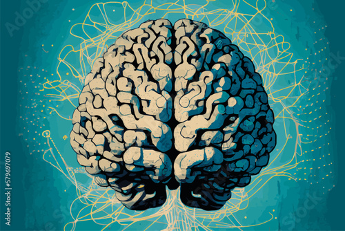 Human brain illustration