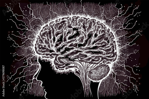 Human brain illustration