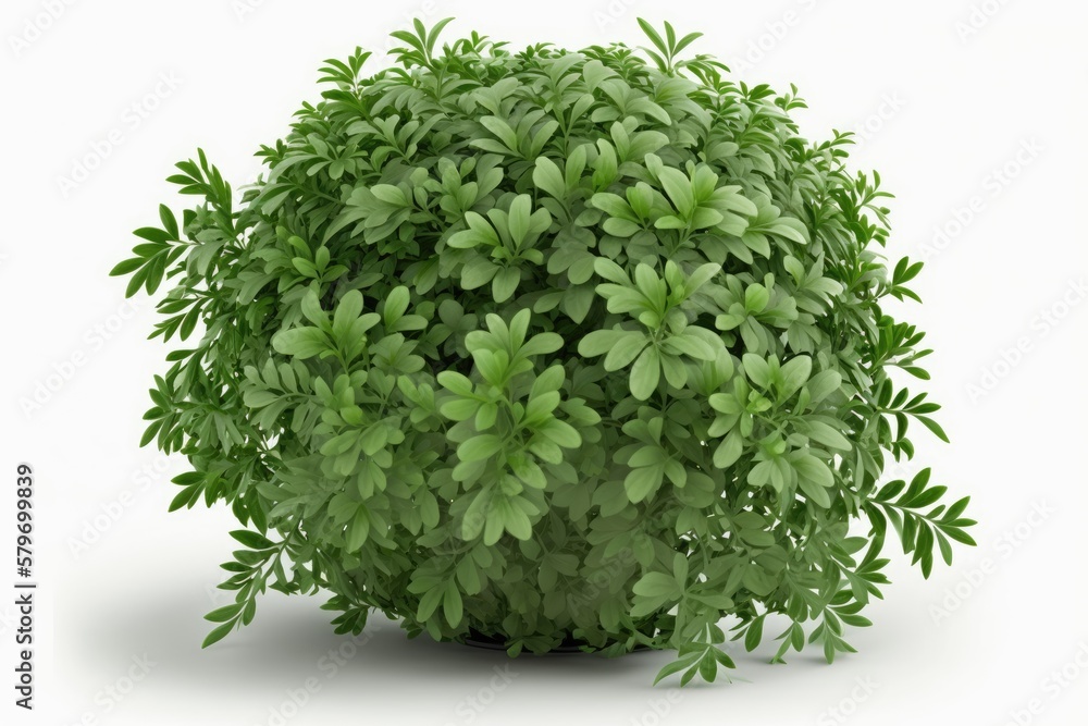 Fototapeta premium plant isolated on white background generative ai illustration