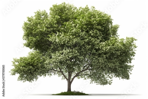 green tree isolated on white background generative ai illustration 