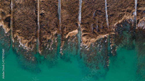 Landscape view of the green Balaton lake in Hungary. Drone view. Striped reeds along the waterfront.