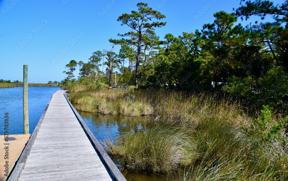 Wooden Boardwalk with sea and woodland behind. Blue skies in Manteo, NC, USA. 