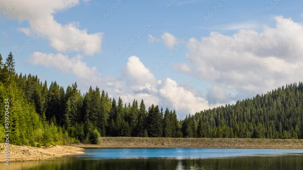 Lake with clear water and stone shore in spruce forest with fir trees against a daytime sky Lake with clear water and stone shore in spruce forest with fir trees against a daytime sky