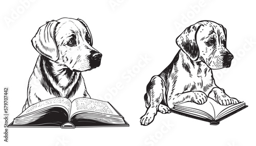set of a seating cute dog reading book vector black outline silhouette isolated on white background.