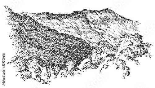 Mountain stone landscape with tree forest in hand drawn sketch style. Vintage monochrome nature composition isolated on white background. Vector grayscale retro illustration.