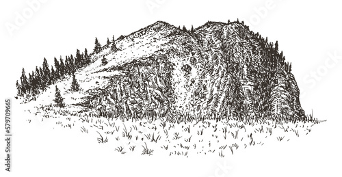 Mountain stone landscape with tree forest in hand drawn sketch style. Vintage monochrome nature composition isolated on white background. Vector grayscale retro illustration.